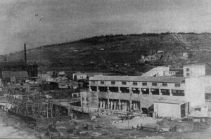 pashiyskyzavod